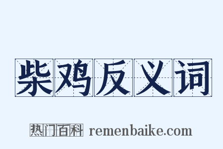 柴鸡反义词是什么意思的图片